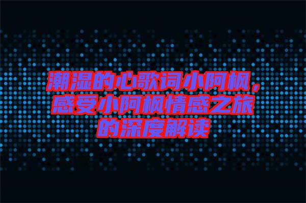 潮濕的心歌詞小阿楓，感受小阿楓情感之旅的深度解讀