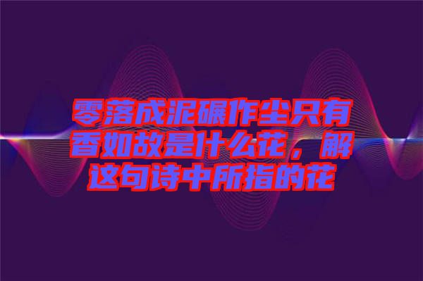 零落成泥碾作塵只有香如故是什么花，解這句詩中所指的花