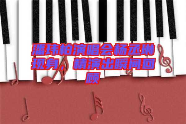 潘瑋柏演唱會楊丞琳現(xiàn)身，精演出瞬間回顧