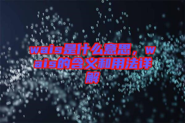 wais是什么意思，wais的含義和用法詳解