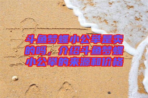 斗魚夢(mèng)蝶小公舉是賣的嗎，介紹斗魚夢(mèng)蝶小公舉的來源和價(jià)格