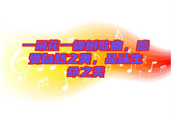 一朵花一棵樹歌曲，感受自然之美，品味生命之美
