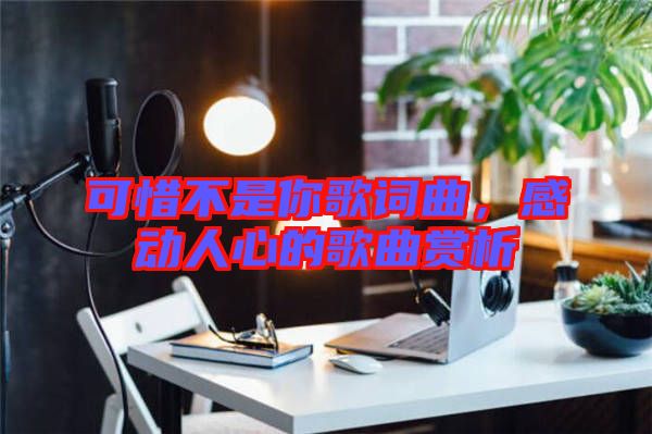 可惜不是你歌詞曲，感動人心的歌曲賞析