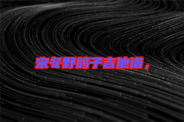 宋冬野鴿子吉他譜，