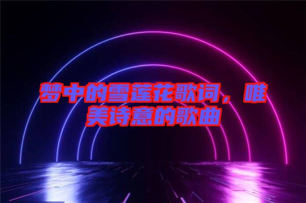 夢(mèng)中的雪蓮花歌詞，唯美詩(shī)意的歌曲