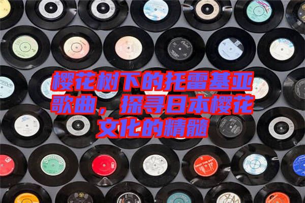 櫻花樹(shù)下的托雷基亞歌曲，探尋日本櫻花文化的精髓