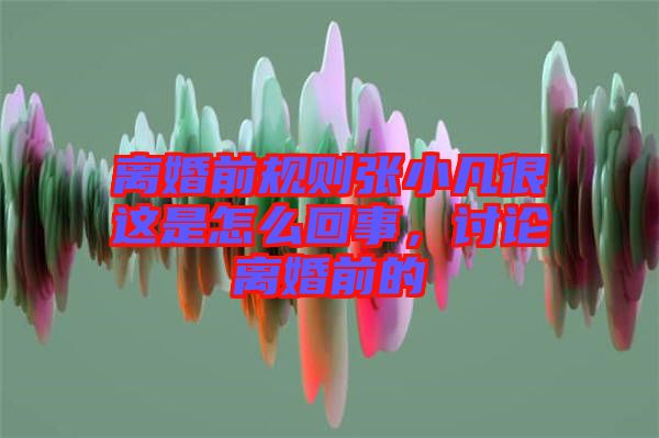 離婚前規(guī)則張小凡很這是怎么回事，討論離婚前的