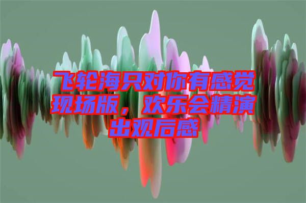 飛輪海只對你有感覺現(xiàn)場版，歡樂會精演出觀后感