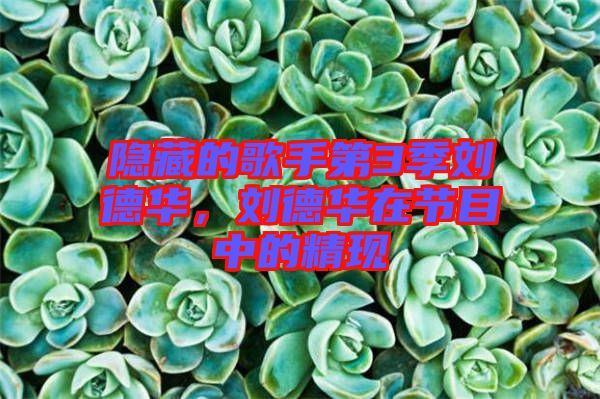 隱藏的歌手第3季劉德華，劉德華在節(jié)目中的精現(xiàn)