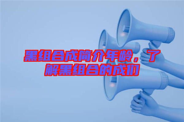 黑組合成簡介年齡，了解黑組合的成們