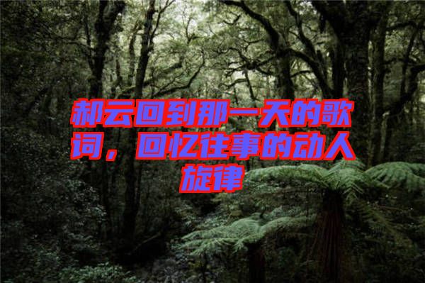 郝云回到那一天的歌詞，回憶往事的動人旋律