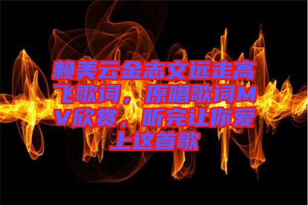 賴美云金志文遠(yuǎn)走高飛歌詞，原唱歌詞MV欣賞，聽(tīng)完讓你愛(ài)上這首歌