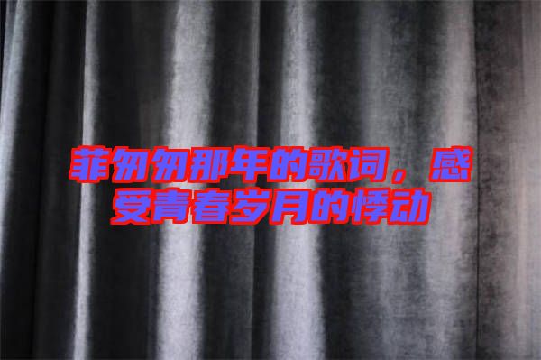 菲匆匆那年的歌詞，感受青春歲月的悸動