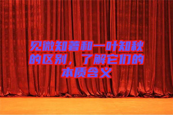 見微知著和一葉知秋的區(qū)別，了解它們的本質(zhì)含義