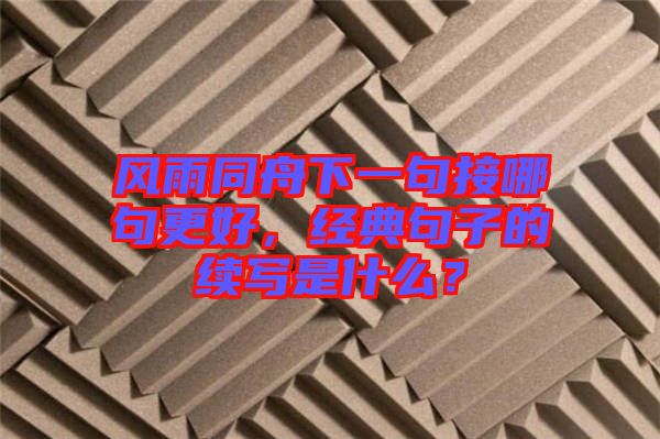 風(fēng)雨同舟下一句接哪句更好，經(jīng)典句子的續(xù)寫(xiě)是什么？