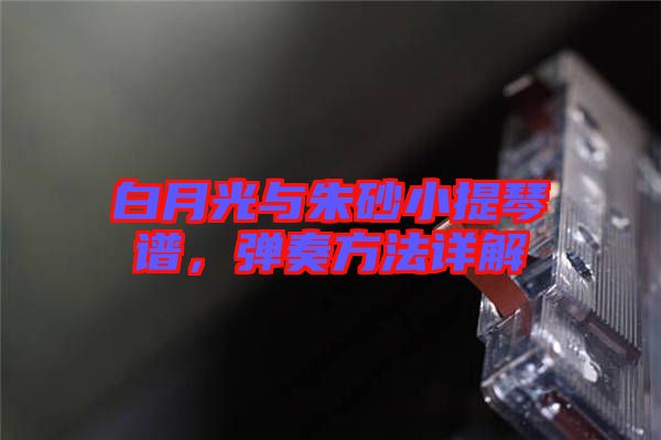 白月光與朱砂小提琴譜，彈奏方法詳解