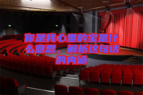 你是我心里的寶是什么意思，解析這句話的內(nèi)涵