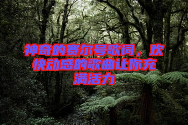 神奇的賽爾號歌詞，歡快動感的歌曲讓你充滿活力