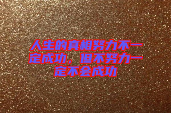 人生的真相努力不一定成功，但不努力一定不會(huì)成功