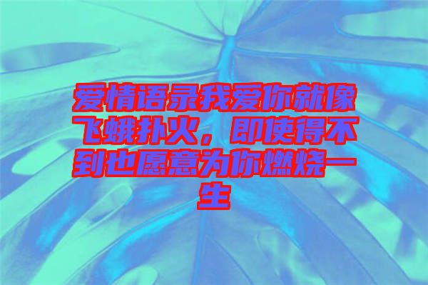 愛(ài)情語(yǔ)錄我愛(ài)你就像飛蛾撲火，即使得不到也愿意為你燃燒一生