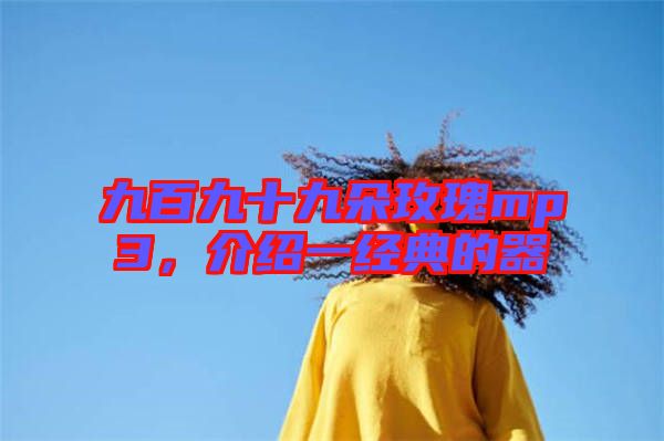 九百九十九朵玫瑰mp3，介紹一經(jīng)典的器