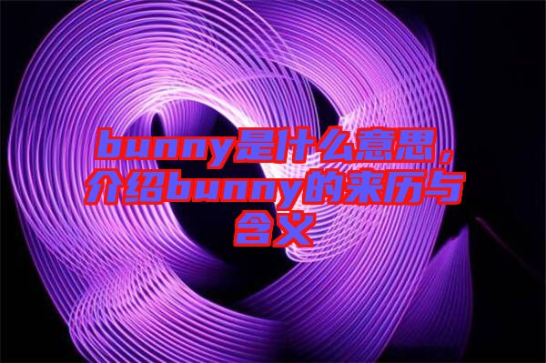 bunny是什么意思，介紹bunny的來歷與含義