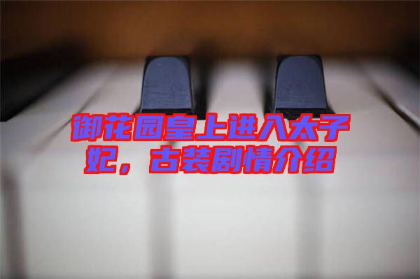 御花園皇上進(jìn)入太子妃，古裝劇情介紹