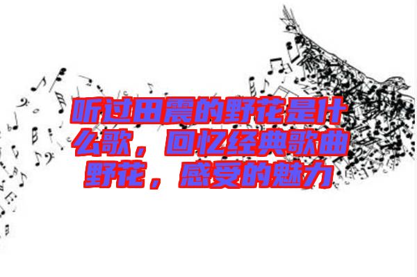 聽過田震的野花是什么歌，回憶經(jīng)典歌曲野花，感受的魅力