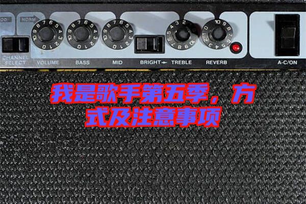 我是歌手第五季，方式及注意事項(xiàng)