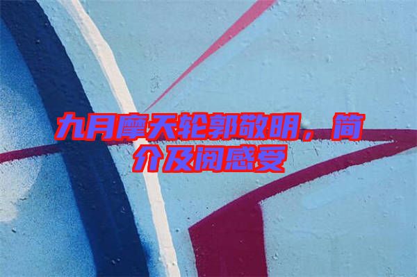 九月摩天輪郭敬明，簡介及閱感受