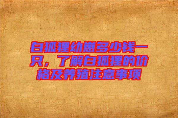白狐貍幼崽多少錢一只，了解白狐貍的價格及養(yǎng)殖注意事項(xiàng)