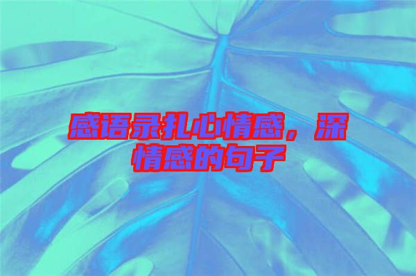 感語錄扎心情感，深情感的句子