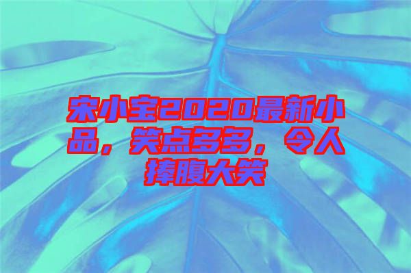 宋小寶2020最新小品，笑點(diǎn)多多，令人捧腹大笑