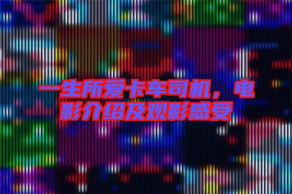 一生所愛(ài)卡車(chē)司機(jī)，電影介紹及觀影感受