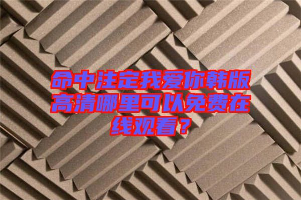 命中注定我愛你韓版高清哪里可以免費(fèi)在線觀看？