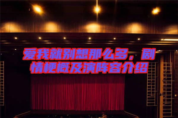 愛我就別想那么多，劇情梗概及演陣容介紹