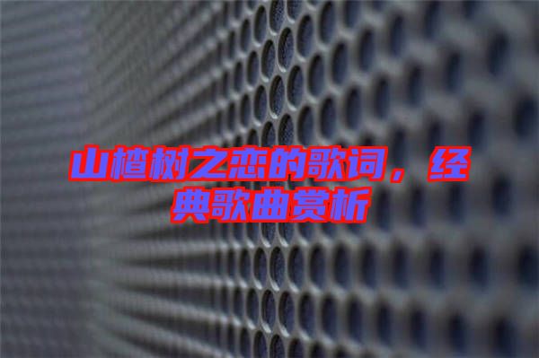 山楂樹(shù)之戀的歌詞，經(jīng)典歌曲賞析