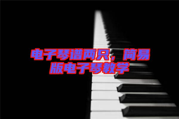 電子琴譜兩只，簡易版電子琴教學