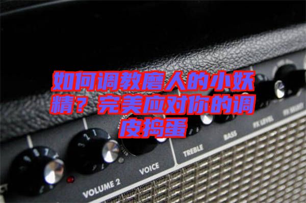 如何調(diào)教磨人的小妖精？完美應(yīng)對你的調(diào)皮搗蛋