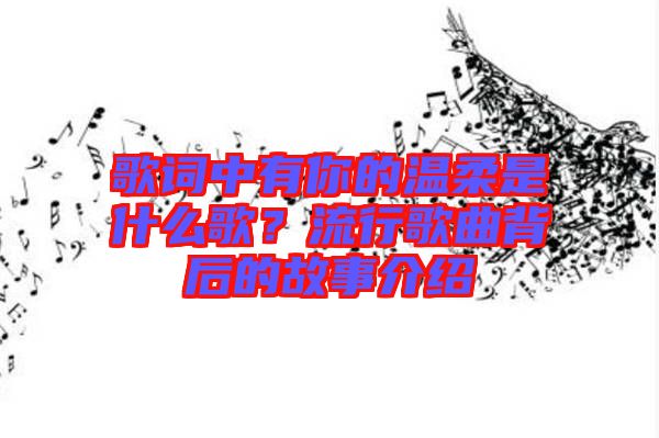 歌詞中有你的溫柔是什么歌？流行歌曲背后的故事介紹