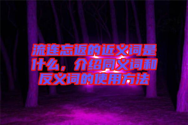 流連忘返的近義詞是什么，介紹同義詞和反義詞的使用方法