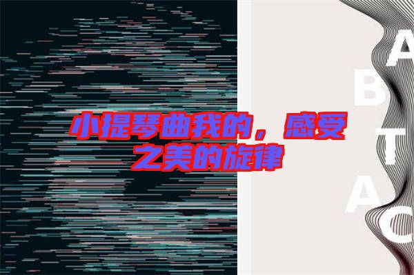 小提琴曲我的，感受之美的旋律