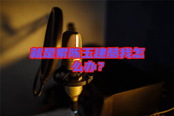 就是累陳玉建酷我怎么辦？