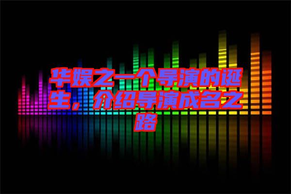 華娛之一個導演的誕生，介紹導演成名之路
