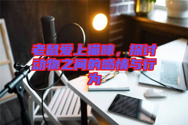 老鼠愛(ài)上貓咪，探討動(dòng)物之間的感情與行為
