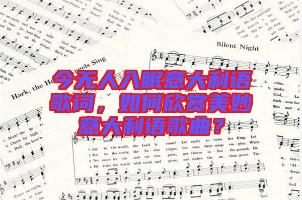 今無(wú)人入眠意大利語(yǔ)歌詞，如何欣賞美妙意大利語(yǔ)歌曲？