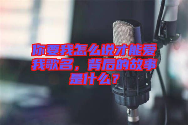你要我怎么說才能愛我歌名，背后的故事是什么？