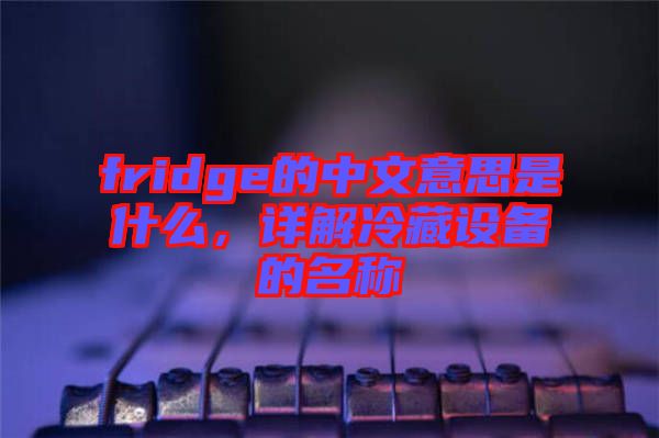 fridge的中文意思是什么，詳解冷藏設(shè)備的名稱