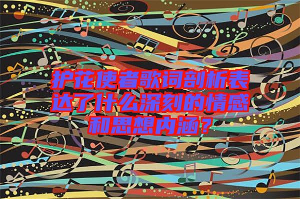 護(hù)花使者歌詞剖析表達(dá)了什么深刻的情感和思想內(nèi)涵？