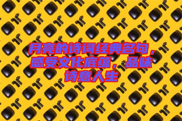 月亮的詩詞經典名句，感受文化底蘊，品味詩意人生